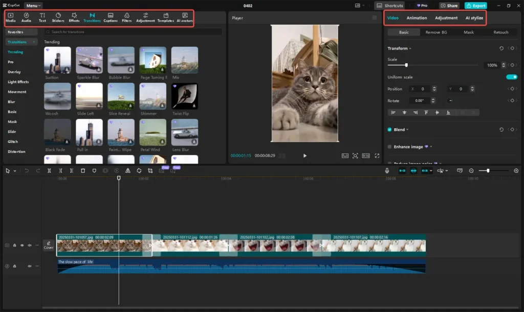 Video Editing and Photo Editing