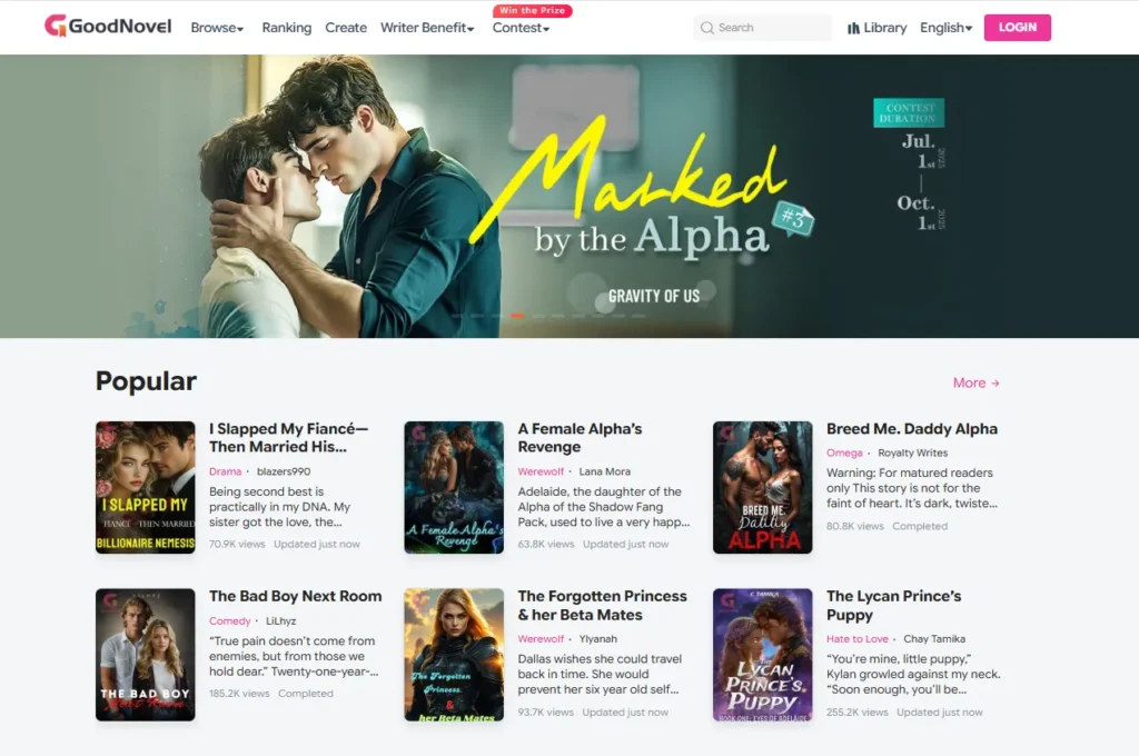 Web Novel Platform