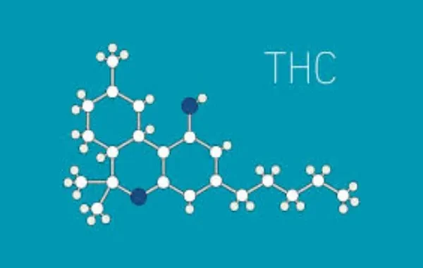 Delta-9 And THCP: Effects And Benefits