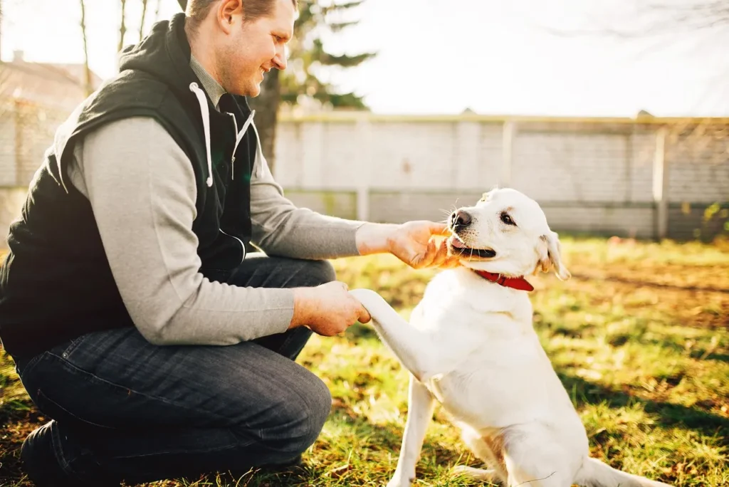 Autism Service Dog