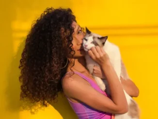 A striking portrait of a woman with long, voluminous, dark brown curly hair and a pink top, holding and gently kissing a white and black Ragdoll cat against a vibrant yellow background.