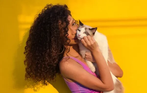 Volume and Vibrancy: Celebrating Natural Texture with Burmese Curly Hair A striking portrait of a woman with long, voluminous, dark brown curly hair and a pink top, holding and gently kissing a white and black Ragdoll cat against a vibrant yellow background.
