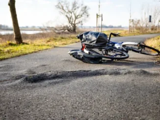 A bicycle with black pannier bags lies on its side on a paved path after crashing due to a large tree root bulging through the asphalt.