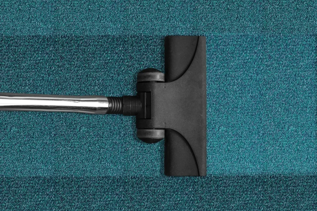 Vaccum cleaner hidden cleaning costs 