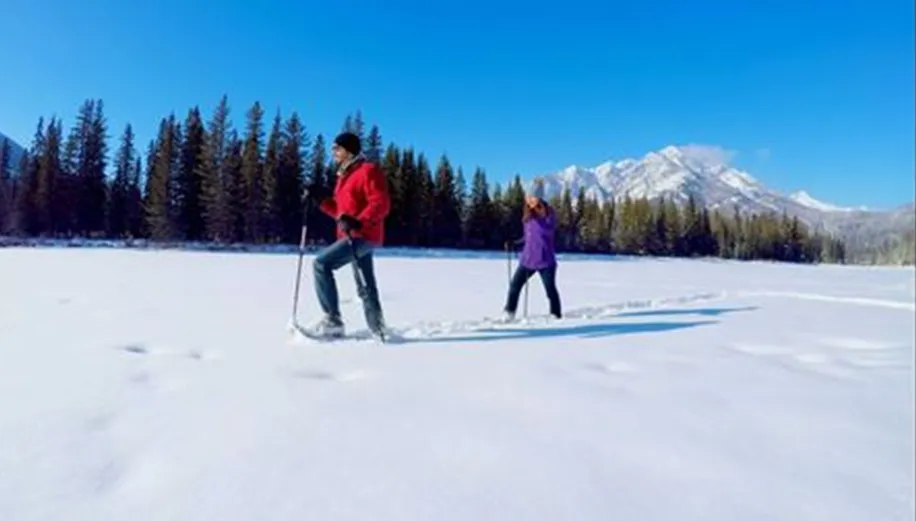 Snowshoeing Hike in Chickadee Ridge