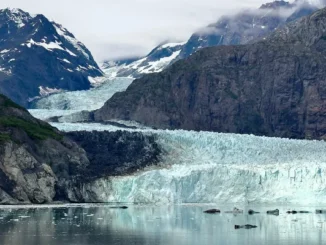 A wide view of a bright blue glacier flowing down between steep, rocky mountains into a calm bay with small floating icebergs.
