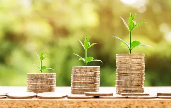 Three stacks of gold coins increasing in height from left to right, with a small green plant growing out of the top of each stack against a blurred natural green background.