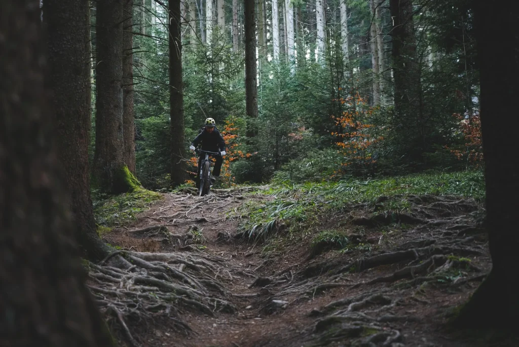A mountain biker wearing a helmet and gear navigates a steep, technical forest trail filled with dense, exposed tree roots. The rider is centered in a lush, evergreen forest, illustrating the "high-level" difficulty and skill-based progression often found in gamified cycling adventures.
