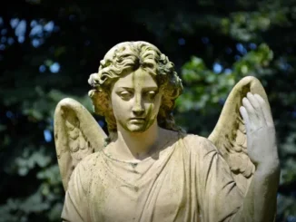 A weathered stone angel statue with moss accents and wings, set against a blurred background of green trees in a cemetery or memorial park.