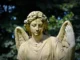 A weathered stone angel statue with moss accents and wings, set against a blurred background of green trees in a cemetery or memorial park.