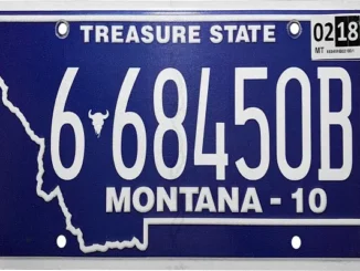 A comparison chart or high-quality graphic showing the top 5 Montana LLC vehicle registration service providers for 2026, including Northwest Registered Agent and $49 Montana.