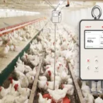 A VEIT BAT2 Connect digital poultry scale displaying an average broiler weight of 823 grams inside a large commercial chicken house.