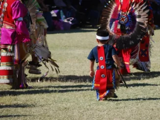 A young Indigenous boy in traditional regalia follows behind adult dancers in vibrant red and pink attire at an outdoor gathering, symbolizing the continuity of cultural wisdom.