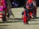 A young Indigenous boy in traditional regalia follows behind adult dancers in vibrant red and pink attire at an outdoor gathering, symbolizing the continuity of cultural wisdom.