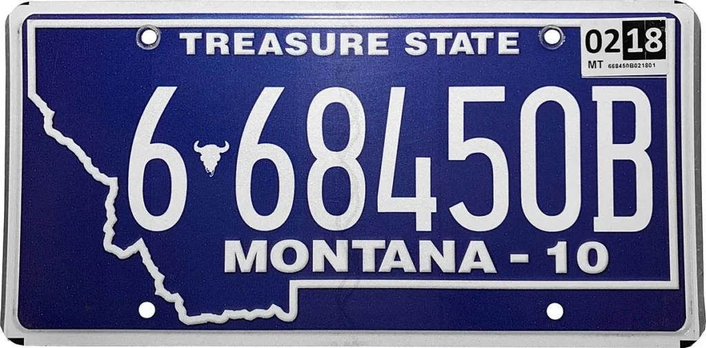 A "Treasure State" Montana license plate with a blue background and white embossed lettering, featuring the state outline and a bison skull symbol, representing tax-free vehicle registration via a Montana LLC.