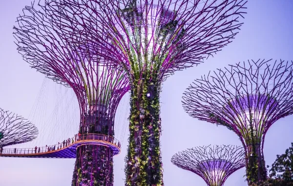 A place to take instagram images ocbc skyway in singapore