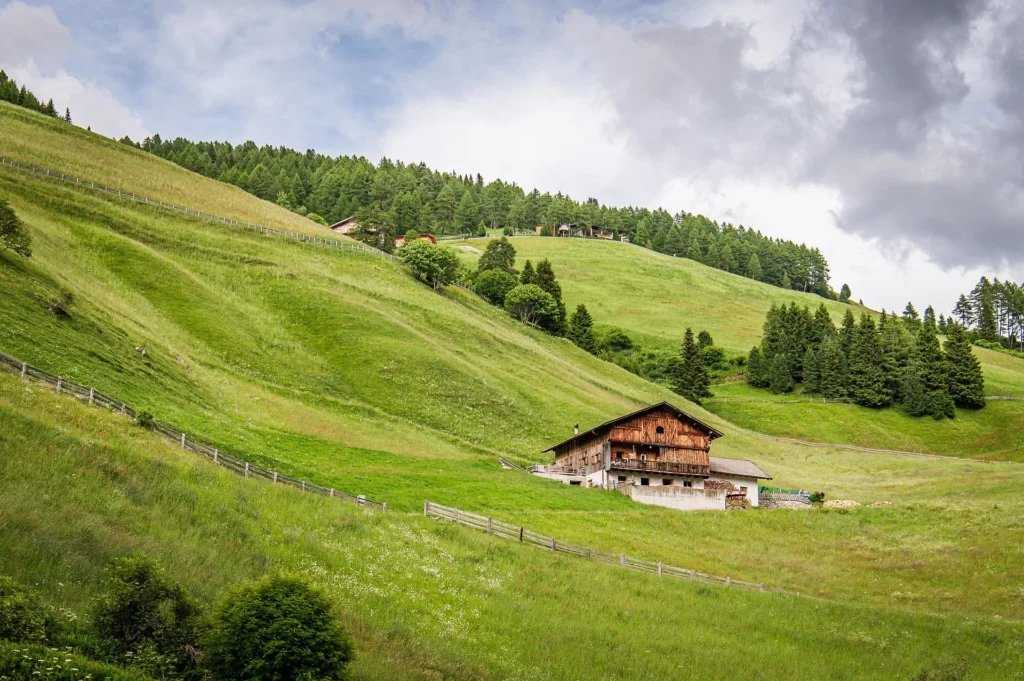 Traditional Alpine Chalet in High-Risk Grassland