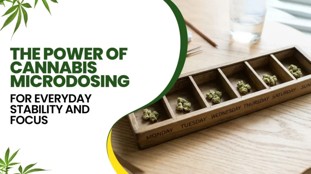 Cannabis Microdosing for Everyday Stability 