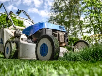 A low-angle close-up of a lawn mower cutting vibrant green grass in a backyard on a sunny day.