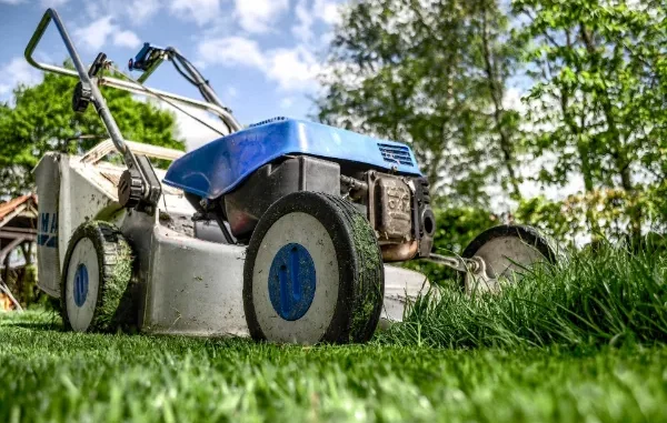 A low-angle close-up of a lawn mower cutting vibrant green grass in a backyard on a sunny day.