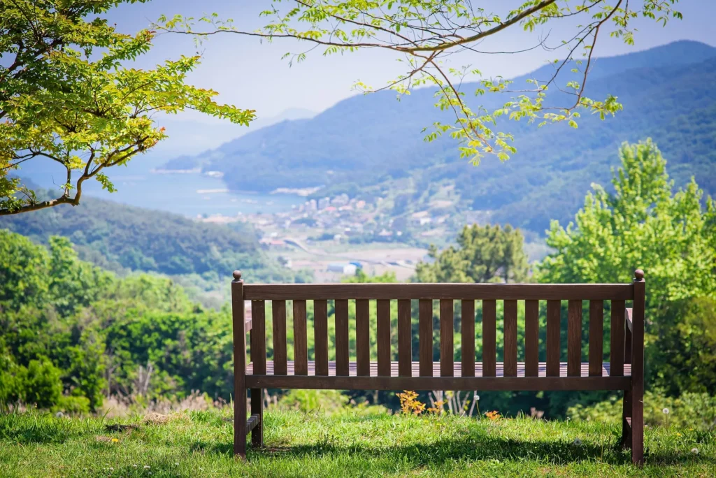 Peaceful Bench Overlooking Coastal Valley