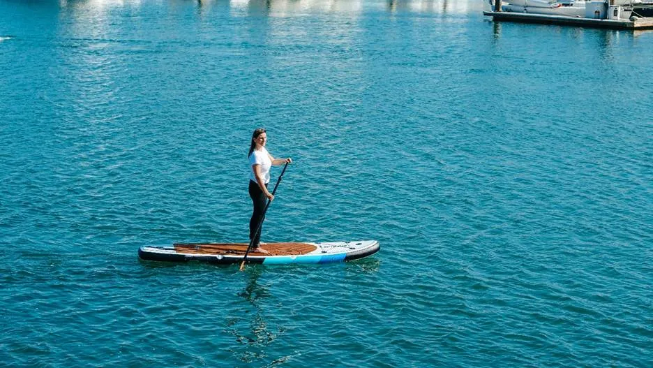 Beach Haven Stand Up Paddle Board Ecotours