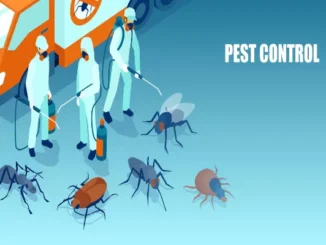 Isometric illustration of pest control professionals in protective gear and masks managing various oversized pests next to a service truck, representing modern, data-driven pest management for compliance audits.
