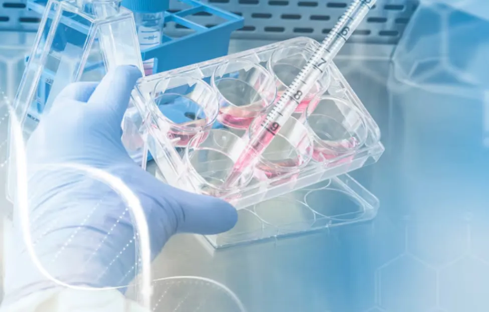 A gloved hand holding a 6-well cell culture plate while a serological pipette dispenses pink liquid medium into a well, overlaid with subtle DNA helix and chemical structure graphics.