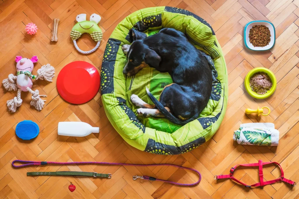 Top-down view of a small black and tan dog sleeping in a green dog bed, surrounded neatly by pet products including bowls, toys, a leash, collar, harness, and grooming supplies on a wooden floor.
