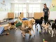 A diverse group of happy dogs playing together with toys and agility ramps in a bright, clean indoor daycare facility while a smiling female staff member supervises.