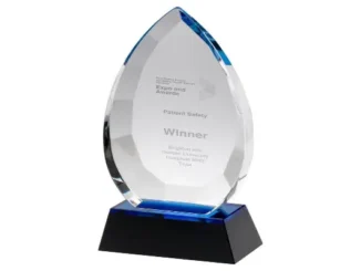 A pointed, flame-shaped clear glass plaque award with blue accent edges set on a solid black pedestal base, engraved with text celebrating a patient safety winner.