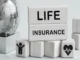 Wooden blocks spelling out "LIFE INSURANCE" above smaller blocks featuring icons of a person and a heart with a pulse line, placed beside a metallic puzzle globe.