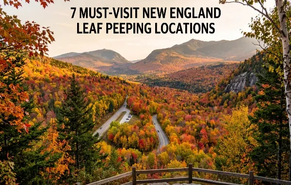 Aerial scenic view of a winding road through a dense valley of vibrant red, orange, and yellow autumn trees framed by mountains and trees, with overlay text reading "7 MUST-VISIT NEW ENGLAND LEAF PEEPING LOCATIONS".