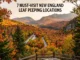 Aerial scenic view of a winding road through a dense valley of vibrant red, orange, and yellow autumn trees framed by mountains and trees, with overlay text reading "7 MUST-VISIT NEW ENGLAND LEAF PEEPING LOCATIONS".